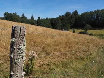 Beausaint (La Roche-en-Ardenne, Belgium)